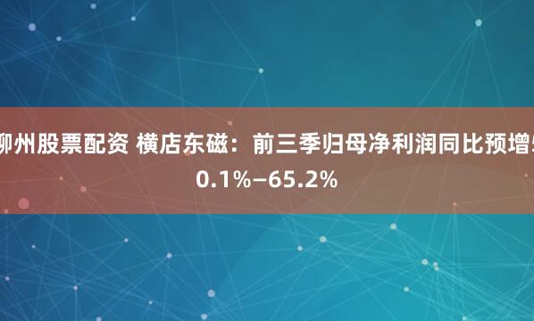 柳州股票配资 横店东磁：前三季归母净利润同比预增50.1%—65.2%