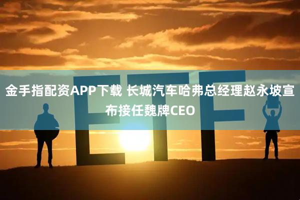 金手指配资APP下载 长城汽车哈弗总经理赵永坡宣布接任魏牌CEO