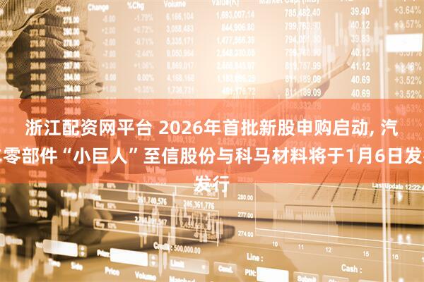浙江配资网平台 2026年首批新股申购启动, 汽车零部件“小巨人”至信股份与科马材料将于1月6日发行