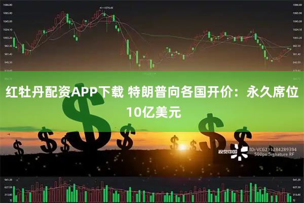 红牡丹配资APP下载 特朗普向各国开价：永久席位 10亿美元