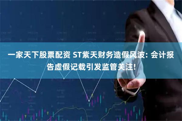 一家天下股票配资 ST紫天财务造假风波: 会计报告虚假记载引发监管关注!