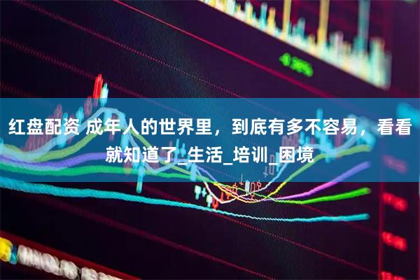 红盘配资 成年人的世界里，到底有多不容易，看看就知道了_生活_培训_困境