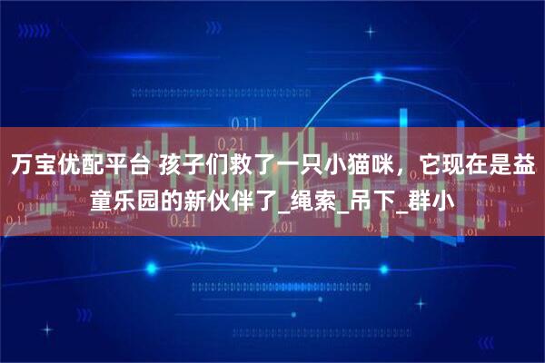 万宝优配平台 孩子们救了一只小猫咪，它现在是益童乐园的新伙伴了_绳索_吊下_群小